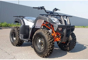 Kayo Bull 150